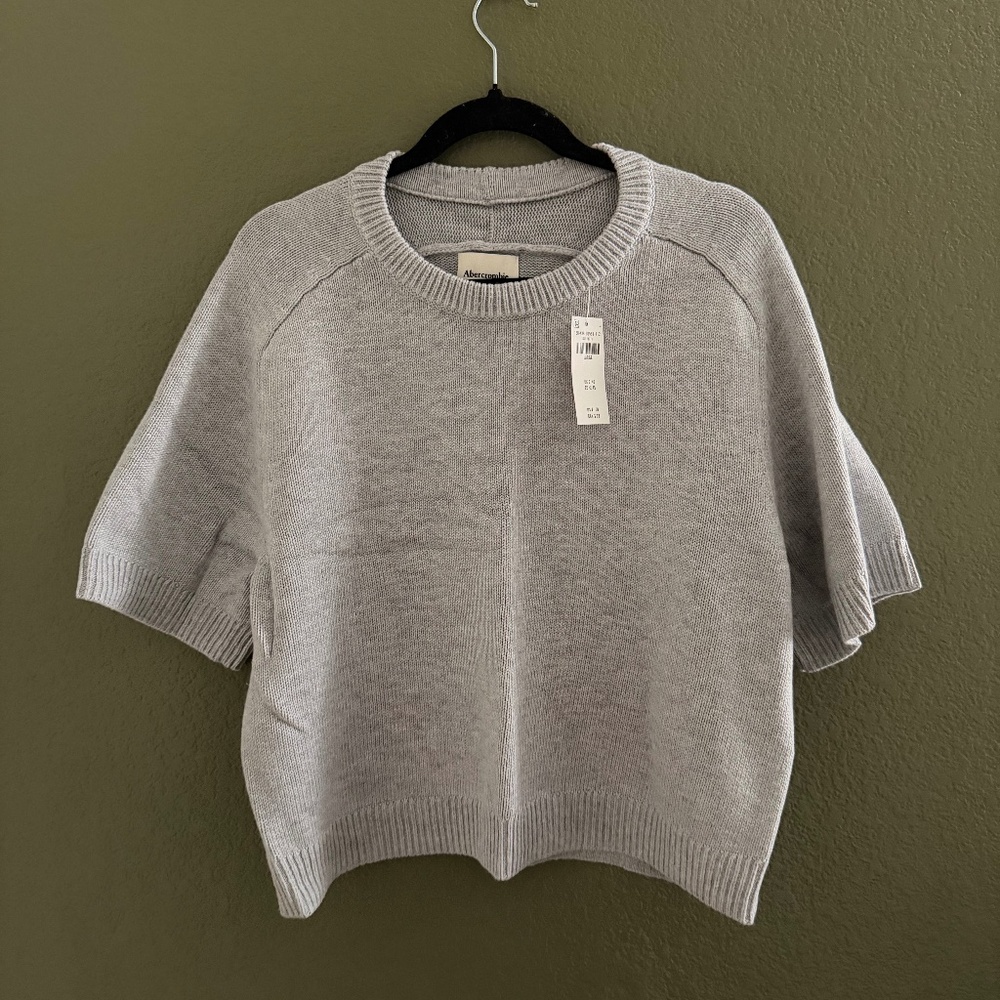 Abercrombie & Fitch Light Gray Short-Sleeve Crewneck Sweater